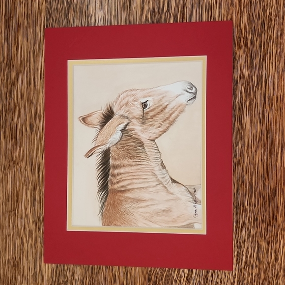 Original Matted Watercolour "Crabby Donkey" Janet Griffin-Scott - Picture 1 of 2
